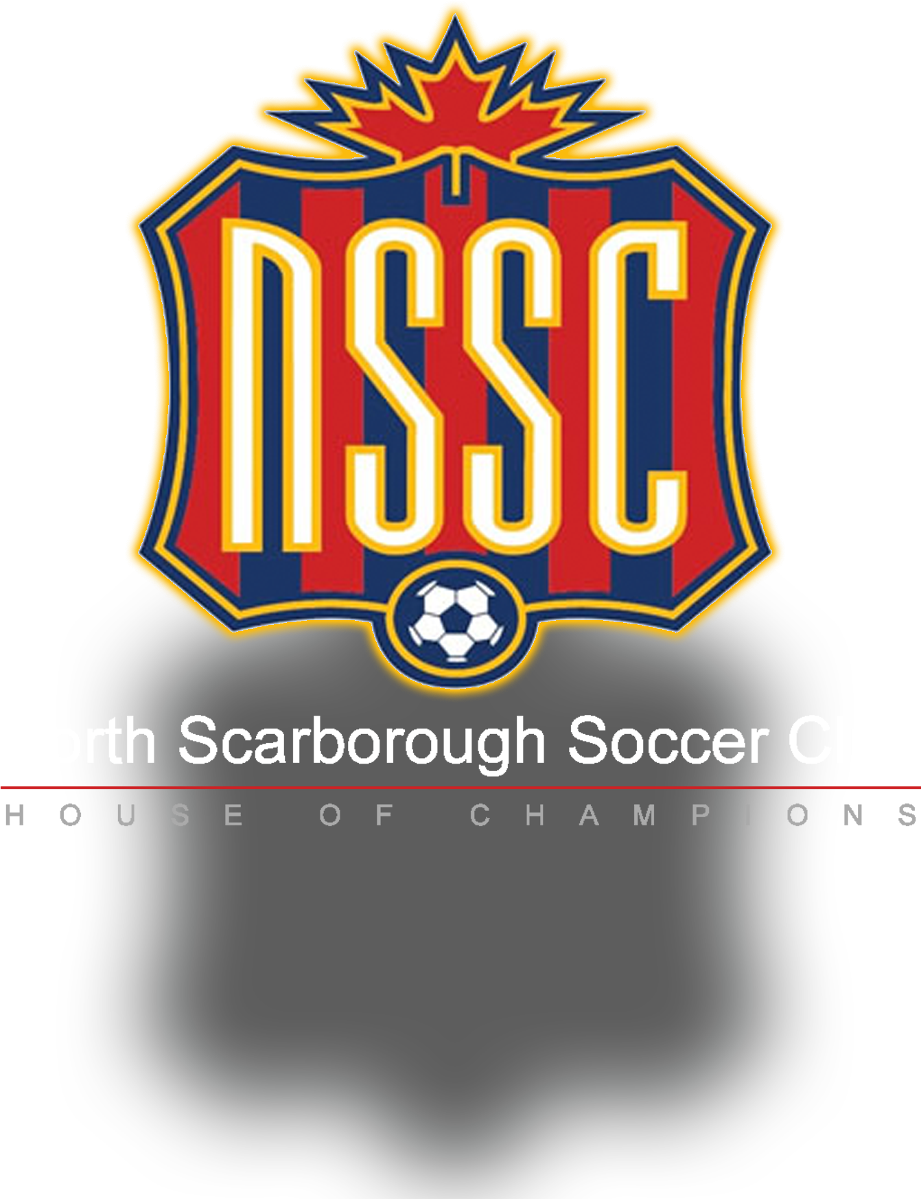 North Scarborough Soccer Club